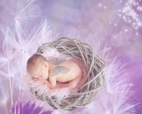 婴儿写真，睡着的宝宝写真，高清图片免费商用下载